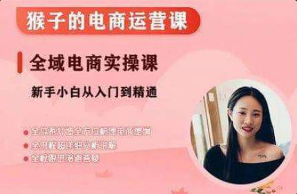 【免费资源】猴子电商：小红书电商运营课，从入门到精通，全域电商实操课